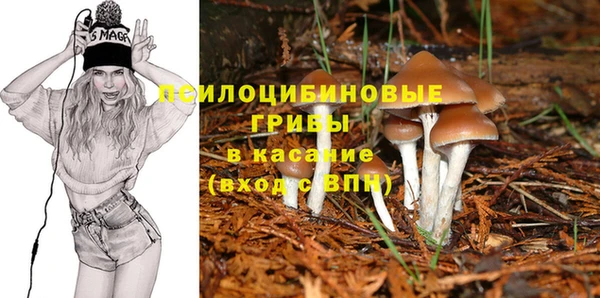 метамфетамин Алексеевка