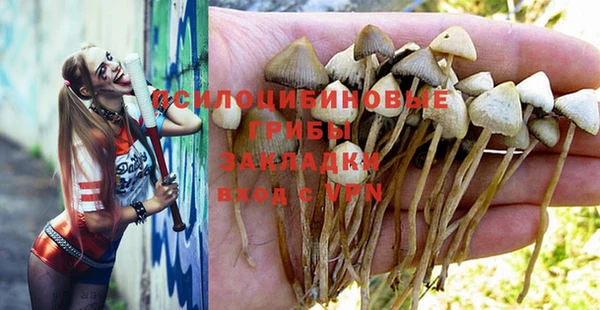 спайс Алексин
