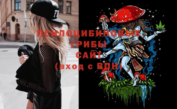 метамфетамин Алексеевка