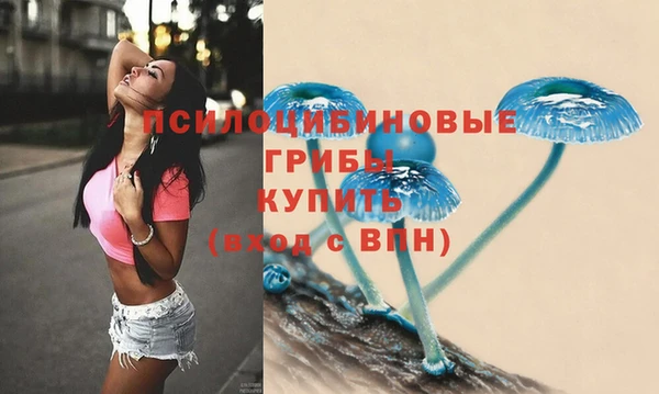а пвп мука Касимов