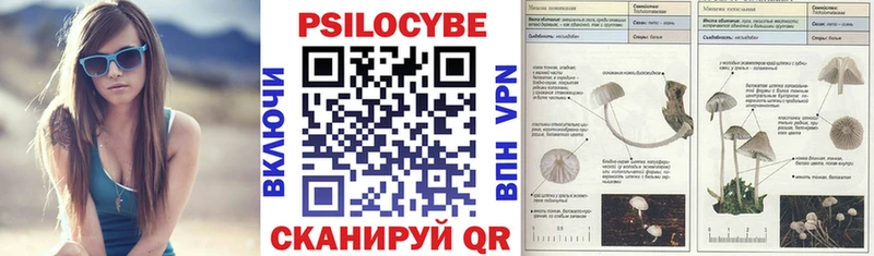 Псилоцибиновые грибы Psilocybine cubensis  Родники 